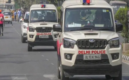दिल्ली पुलिस ने 3 घंटे तक कार का किया पीछा,  अगवा भाई-बहन को बचाया