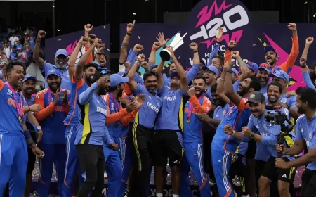 खत्म हुआ बरसों का इंतजार, भारत ने दक्षिण अफ्रीका को हराकर T20 World Cup जीता