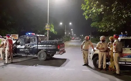 Punjab में High Alert के बीच पुलिस नाका तोड़कर भागे कार सवार, जांच जारी