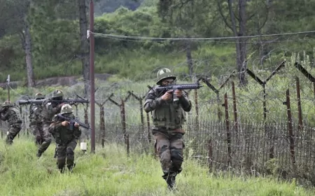 फिरोजपुर में BSF के जवानों ने पाकिस्तानी नागरिक को पकड़ा