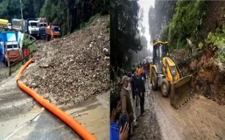 हिमाचल में अधिकतर हिस्सों में भारी बारिश, 115 सड़कें बंद