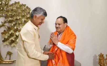चंद्रबाबू नायडू ने तेदेपा सांसदों के साथ J. P. Nadda से की मुलाकात