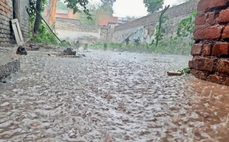 फिरोजपुर में भारी बारिश हुई, बारिश होने से तापमान में आई गिरावट