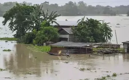 असम में बाढ़ की स्थिति गंभीर, 29 जिलों में 24 लाख से ज्यादा लोग प्रभावित