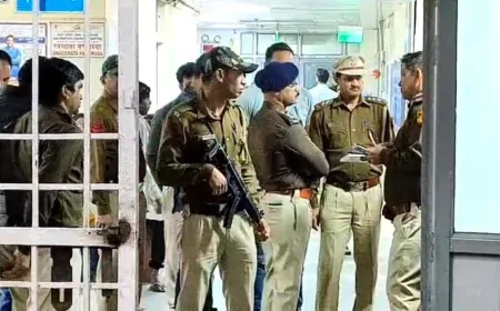 दिल्ली के सीलमपुर में दो युवक गोली लगने से घायल, एक हमलावर पकड़ा गया