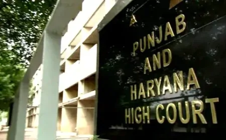 पंजाब एवं हरियाणा उच्च न्यायालय ने सात दिनों के भीतर शंभू सीमा खोलने का आदेश दिया
