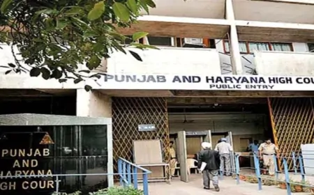 Punjab News: NOC के बिना बिल्डर बना रहे अवैध कॉलोनी, HC ने पंजाब सरकार को नोटिस किया जारी