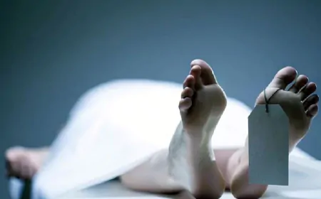 Jalandhar Crime: पूर्व पार्षद की पत्नी की घर में हुई मौत, मायके वालों ने दामाद पर ये लगाया आरोप, 8 महीने पहले ही हुई थी शादी