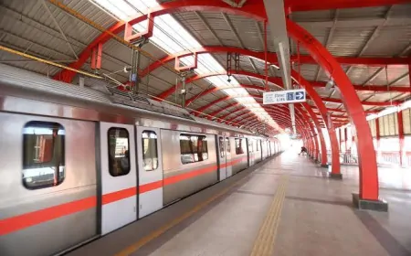 दिल्ली मेट्रो की रेड लाइन में यात्री के पटरी पर आ जाने के कारण सेवा में कुछ देर विलंब हुआ