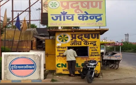 दिल्ली सरकार ने 13 साल बाद गाड़ियों की PUC प्रमाण पत्र के लिए बढ़ाया शुल्क