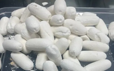 7 करोड़ रूपए की कोकीन पेट में छुपा कर ला रही महिला को दिल्ली हवाई अड्डे पर पकड़ा