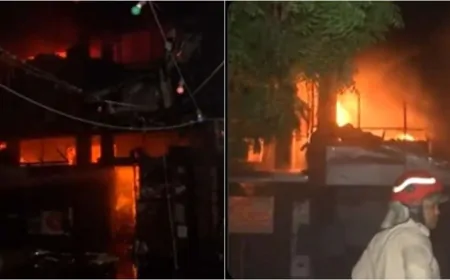 Delhi Fire: मयूर विहार कैफे में लगी भीषण आग, दमकलकर्मी घायल