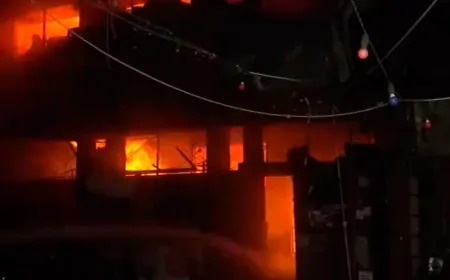 दिल्ली के मयूर विहार में कैफे में भीषण आग, इमारत की अन्य दुकानें भी चपेट में आईं