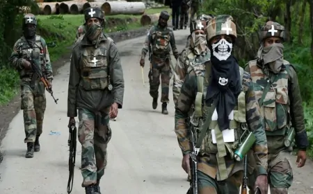 जम्मू कश्मीर: डोडा में आतंकियों की तलाश में विलेज डिफेंस गार्ड कर रहे हैं सुरक्षा बलों की मदद 