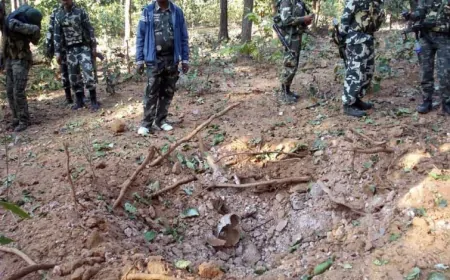 छत्तीसगढ़ : बीजापुर में नक्सलियों ने बारूदी सुरंग में किया विस्फोट, दो जवान शहीद