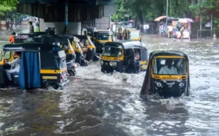 नवी मुंबई : भारी बारिश के बीच पानी के तेज बहाव में फंसे 60 लोगों को बचाया गया