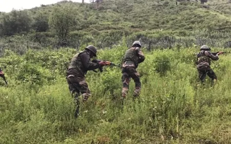 जम्मू-कश्मीर : पुंछ में आतंकवादी घुसपैठ की कोशिश नाकाम, सेना का एक जवान घायल