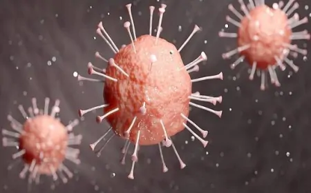 कोविड-19 पीड़ितों के जबरन दाह संस्कार पर मुसलमानों से माफी मांगेगी श्रीलंकाई सरकार