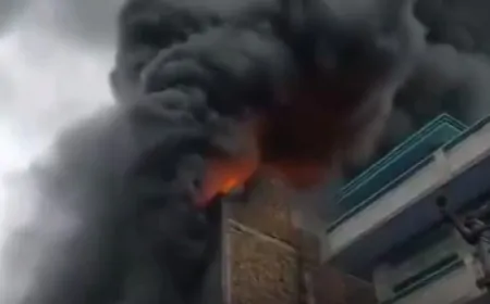 दिल्ली : नरेेला इंडस्ट्रियल एरिया में लगी भीषण आग, किसी के हताहत की सूचना नहीं 