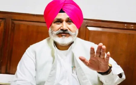 मान सरकार की फसल विविधता पहलकदमियों का मिलने लगा फायदा, किसान ले रहे भरपूर लाभ