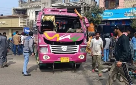 जम्मू में मिनी बस पलटी, 30 लोग घायल