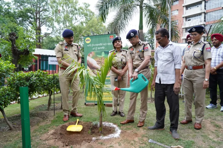 DGP Gaurav Yadav: पंजाब पुलिस ने मानसून के स्वागत में पौधारोपण अभियान शुरू किया, डीजीपी पंजाब ने पीपीएचक्यू में 'बॉटल पाम' के पौधे लगाए