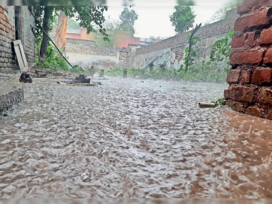 फिरोजपुर में भारी बारिश हुई, बारिश होने से तापमान में आई गिरावट