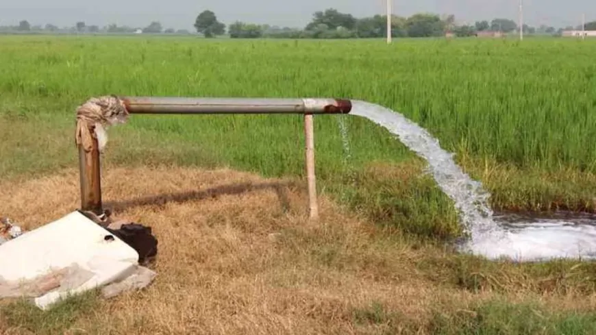 हरियाणा में सरकार ने ट्यूबवेल कनेक्शन जारी करने का लिया फैसला, जानिए किन किसानों को मिलेगा कनेक्शन?