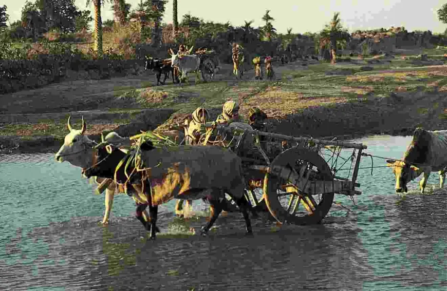 भूजल व्यवस्था सुधार एवं सुदृढीकरण का काम अंतिम चरण में, सरकार ने कईं गांवों में मंजूर किए जल भंडार