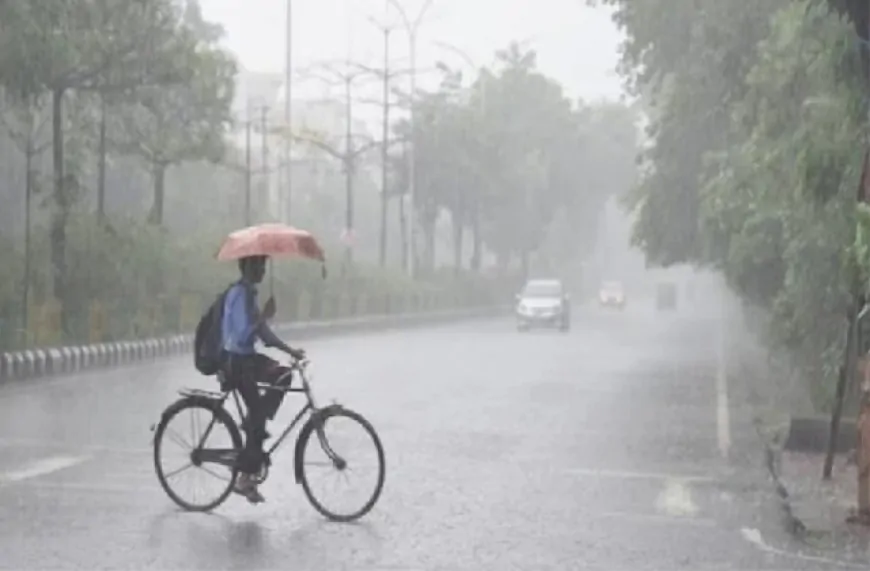 पंजाब में भारी बारिश का Alert जारी, जानें आगे कैसा रहेगा मौसम का हाल 