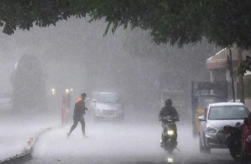 Punjab Weather : पंजाब में भारी बारिश का अलर्ट जारी, जाने अपने जिले का हाल 