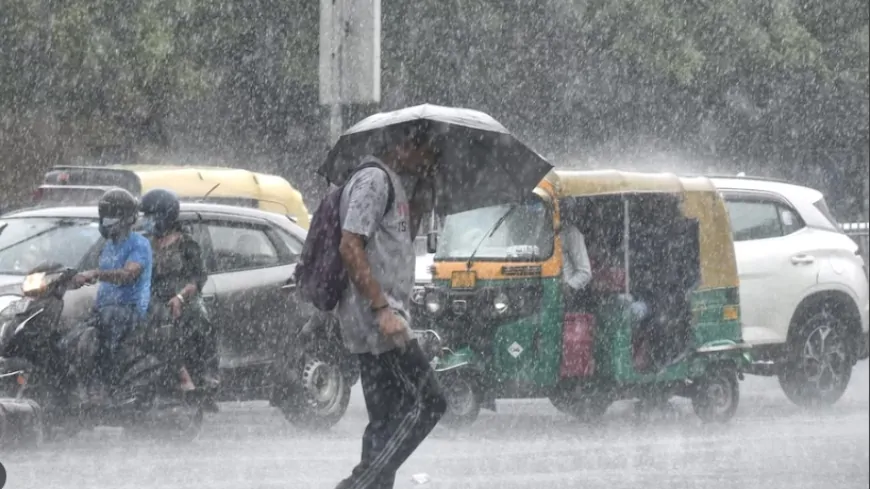 Delhi-NCR Rain: दिल्ली-NCR में मानसून की झमाझम बारिश, IMD ने जारी किया अलर्ट