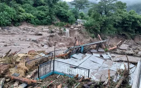 हिमाचल प्रदेश में बारिश का कहर, पांच लोगों की मौत जबकि अन्य 45 लोग लापता 