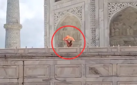 Gangajal in Taj Mahal : ताजमहल की छत पर महिला ने लहराया भगवा, गंगा जल भी चढ़ाया, सुरक्षाकर्मी ने दौड़ाकर पकड़ा