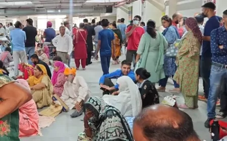 ट्रेनी डॉक्टर हत्या मामला : PGIMER चंडीगढ़ के डॉक्टरों ने भी की हड़ताल, OPD व्यवस्था रोकी गई 