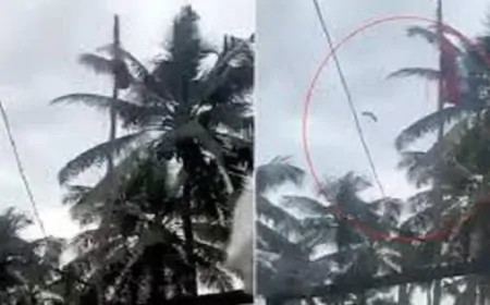 गजब ! ध्वजारोहण के दौरान नहीं खुला तिरंगा तो "देशभक्त कौवे" ने खोली गांठ और फहराया ध्वज !