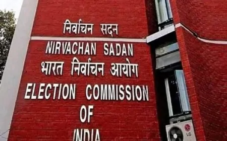 राज्यसभा उपचुनाव: निर्दलीय उम्मीदवार का नामांकन रद्द