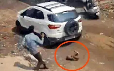 घर के बाहर खेल रहे बच्चे के साथ हुआ बड़ा हादसा, CCTV में कैद घटना