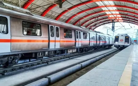 दिल्ली मेट्रो की रेड लाइन पर 'तार चुराने की कोशिश' के कारण सेवाएं प्रभावित : डीएमआरसी