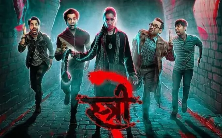 बॉक्स ऑफिस पर रॉकेट बनी 'स्त्री 2', जारी है रफ्तार, इतने करोड़ की कर डाली कमाई