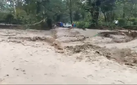 उत्तराखंड : अल्मोड़ा में नदियां-नाले उफान पर, 300 से अधिक लोग फंसे