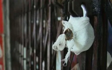 दिल्ली में सीलिंग अभियान के दौरान पथराव, महिला उपनिरीक्षक घायल