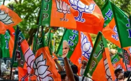 भाजपा सांसदों ने एलजी से की मुलाकात, किसानों की समस्याओं के समाधान के लिए मांगी मदद