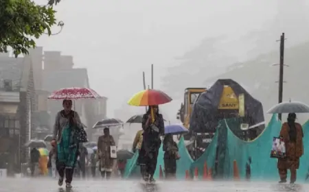 हिमाचल प्रदेश में मौसम लगातार ले रहा है करवट, मौसम विभाग ने 10 जिलों में 'Yellow' अलर्ट किया जारी 