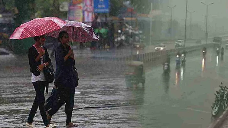 Punjab Weather : पंजाब में बारिश का Alert जारी,  जाने अपने जिले का हाल 