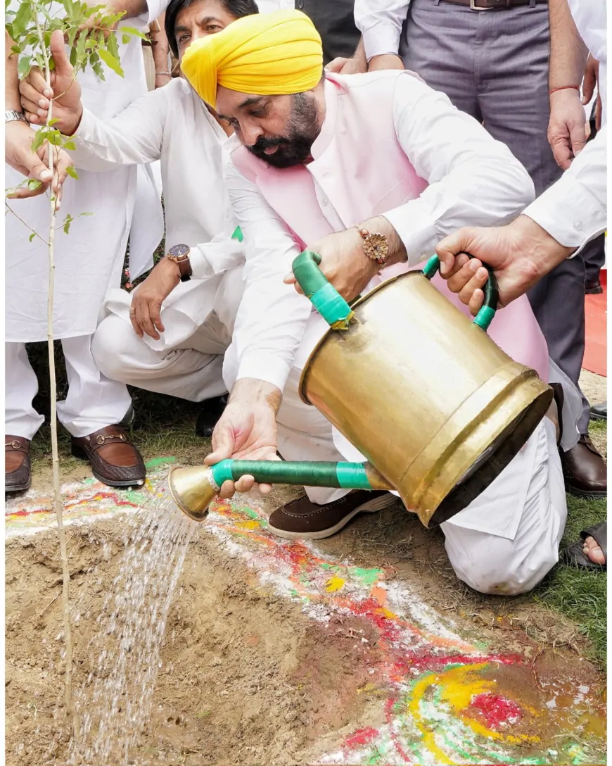 सीएम मान ने लोगों से पौधारोपण अभियान को जन आंदोलन में बदलने का किया आह्वान