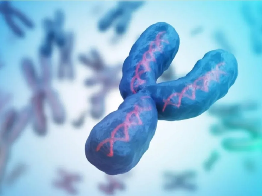 क्या पुरुषों में तेजी से गायब हो रहे 'Y Chromosomes' ? वैज्ञानिकों की नई स्टडी हिला देगी