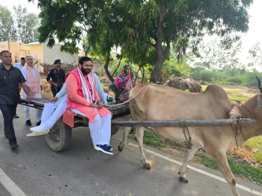 काफिला छोड़कर बैलगाड़ी चलाने लगे मुख्यमंत्री नायब सैनी, सोशल मीडिया पर वायरल हो रही फोटो