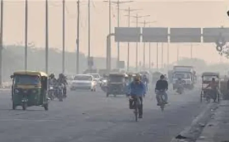 सर्दी का मौसम आ रहा है करीब, सताने लगा है प्रदूषण का डर