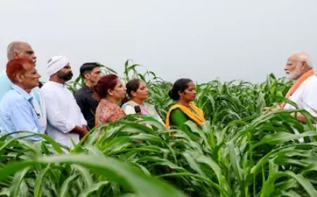 मोदी कैबिनेट ने किसानों को दी 7 बड़ी सौगात